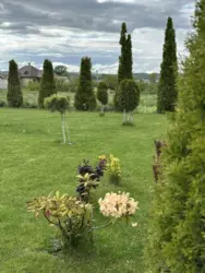 ������ ��� ������� ��������� ���� 11