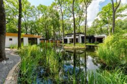 Лісопарк, КП Форест фото 2 Лісопарк, КП Форест фото 2