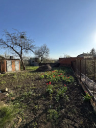 ������� ������ ���� � �������� ����� �������� ��.�������� 50 ���� 2