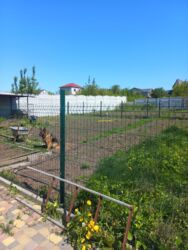 ��������� ������� ���� ��������, �������������, ��������� ���� 3