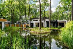 Лісопарк, КП Форест фото 1 Лісопарк, КП Форест фото 1