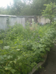 ������ ������� �� ��� ���� 16