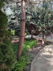 Новые дома.Продам 2 дома с участком 20 соток. фото 4 Новые дома.Продам 2 дома с участком 20 соток. фото 4