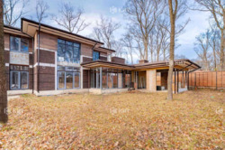 Лісопарк (Лесопарк), КМ Форест фото 6 Лісопарк (Лесопарк), КМ Форест фото 6