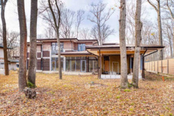 Лісопарк (Лесопарк), КМ Форест фото 5 Лісопарк (Лесопарк), КМ Форест фото 5