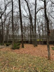 850 ���.$‼️‼️ �������/ ������ ��� 450 �2/ ���� ����/ �������� ���� 19