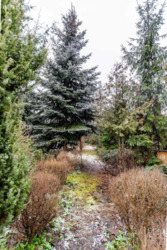 ��������� ������� ����� ��., �����, ���������, ��������������, �������, �. ������� ���� ���� 16