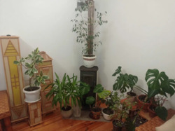 Продам дом Павлово Поле пр. Науки 65 + солнечная электростанция фото 18 Продам дом Павлово Поле пр. Науки 65 + солнечная электростанция фото 18