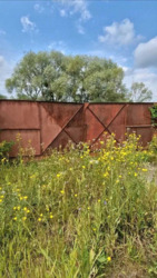 ��������� �������� ������� ����� ������ ���� 12