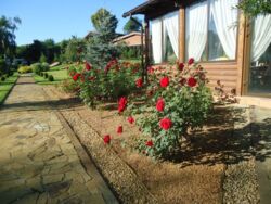 ������ ������� �� ������ 37 �����, ������� ����� 1 ��, ������� ���� 3