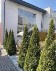 � ������� �������� � �������������� ������� ������������� ����� ������ ����������� ���� 1