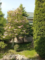 Новые дома.Продам 2 дома с участком 20 соток. фото 13 Новые дома.Продам 2 дома с участком 20 соток. фото 13