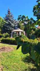 ������ ������� � �.˳��� �������������� ������ ���� 2