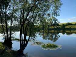 � ������� ��������� ������� � ������������� ����� � ������� ������������ ������ ������������ �������������� �������� ����� ���� 17