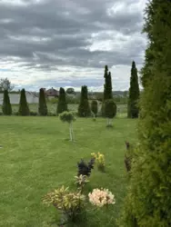 ������ ��� ������� ��������� ���� 10