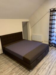 ��������� ������� ����, �������, ����������, ��������� ���� 11