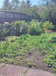 ��������� ������� ���������� ��., �����, ���������, ��������������, �������, �. ������� ���� ���� 13