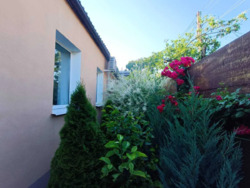 ��������� ������� ���������, �����, ���������� (�����������), �. �������� ���������� ���� 1