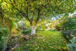 �������� �����. ���� 10