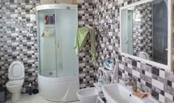 ��������� ������� ���� ��������, �������������, ��������� ���� 12