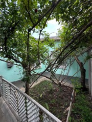 ������ 4� ��� ���,����� ����. ���� 11