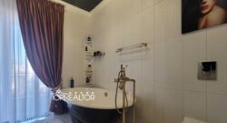 ������ �������� ������� �� ��������� ��� ���� 20