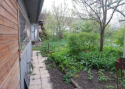 ��������� ������� ���������, �������������, ������� ���� 11