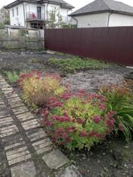 ������ ������ ����� ���� �� ����� ������ �� ������. ���� 6