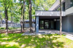 ˳������ (��������), �� ������ ���� 13