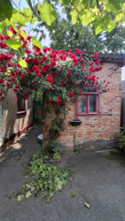 Продам дом метро 23 августа 5 минут пешком! Павлово Поле. фото 5 Продам дом метро 23 августа 5 минут пешком! Павлово Поле. фото 5