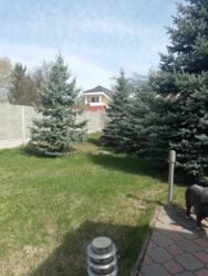 ������ ��� �� ���������� ���� 5