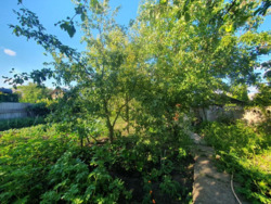 Продам 2 дома на 1 участке,м.Армейская,Немышлянский р-н фото 2 Продам 2 дома на 1 участке,м.Армейская,Немышлянский р-н фото 2