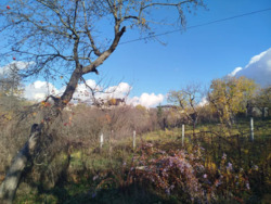 Продам Дачи и Участки Павлово Поле пр. Науки 65 фото 7 Продам Дачи и Участки Павлово Поле пр. Науки 65 фото 7