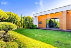 ������� ���� 10