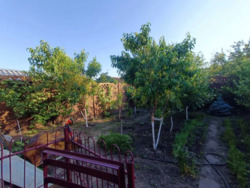 ��������� ������� ���������, �����, ���������� (�����������), �. �������� ���������� ���� 13