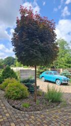 Продам 2х этажный дом Флоринка, Алексеевка! фото 8 Продам 2х этажный дом Флоринка, Алексеевка! фото 8