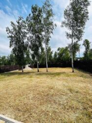 ��������� ������� ���� ��������, �������������, ��������� ���� 3