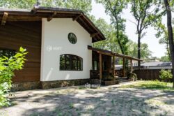 �-� ˳������, �� ������ ���� 12