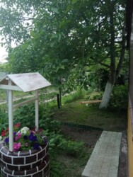 Дачна ділянка з будиночком на масиві Промінь фото 7 Дачна ділянка з будиночком на масиві Промінь фото 7