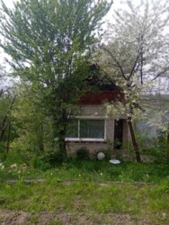 ������ ������� �� ������� ����� ������ ���� 1