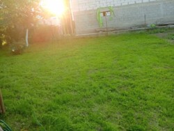 Дачна ділянка з будиночком на масиві Промінь фото 4 Дачна ділянка з будиночком на масиві Промінь фото 4