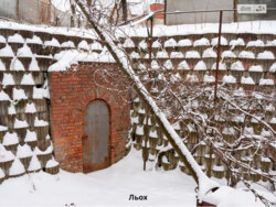 ��������� ������� ����, ���������, ʳ������� ���� 7