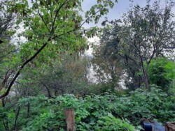 Продається будинок Ковельська, Луцк, Волинська, Ковельська фото 7 Продається будинок Ковельська, Луцк, Волинська, Ковельська фото 7