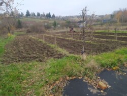 Продається будинок Луцк, Волинська фото 19 Продається будинок Луцк, Волинська фото 19