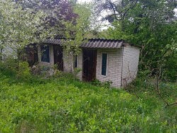 ������ ������� �� ������� ����� ������ ���� 11