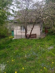 ������ ������� �� ������� ����� ������ ���� 5