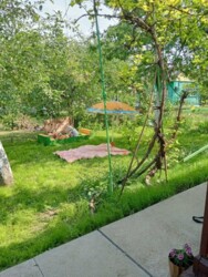 Дачна ділянка з будиночком на масиві Промінь фото 3 Дачна ділянка з будиночком на масиві Промінь фото 3