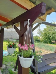 Дачна ділянка з будиночком на масиві Промінь фото 6 Дачна ділянка з будиночком на масиві Промінь фото 6