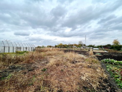 ��������� �������� ������� � ��������, �� ������ ������������� ���� 14