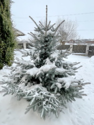 Продається затишний будинок у привабливому місці розташування по вул. Сумської артбригади фото 33 Продається затишний будинок у привабливому місці розташування по вул. Сумської артбригади фото 33